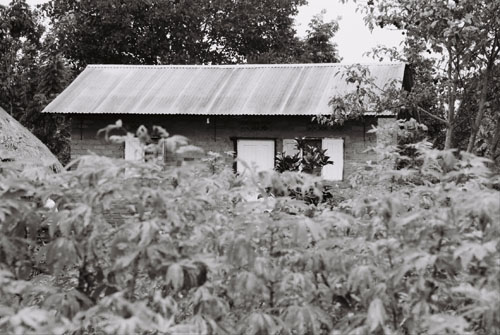 africa/habitat_house
