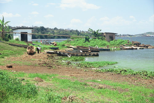 africa/lake_boats
