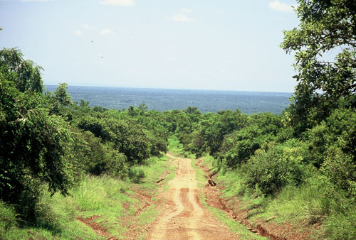 africa/safari_road