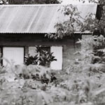 Africa