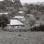 Africa