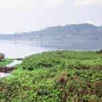 Africa