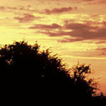 Africa