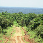 Africa